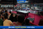 Bàn bida KKKing Imperial chính hãng