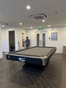 Bàn bida Aileex Victory nhập Trung - Ảnh 3
