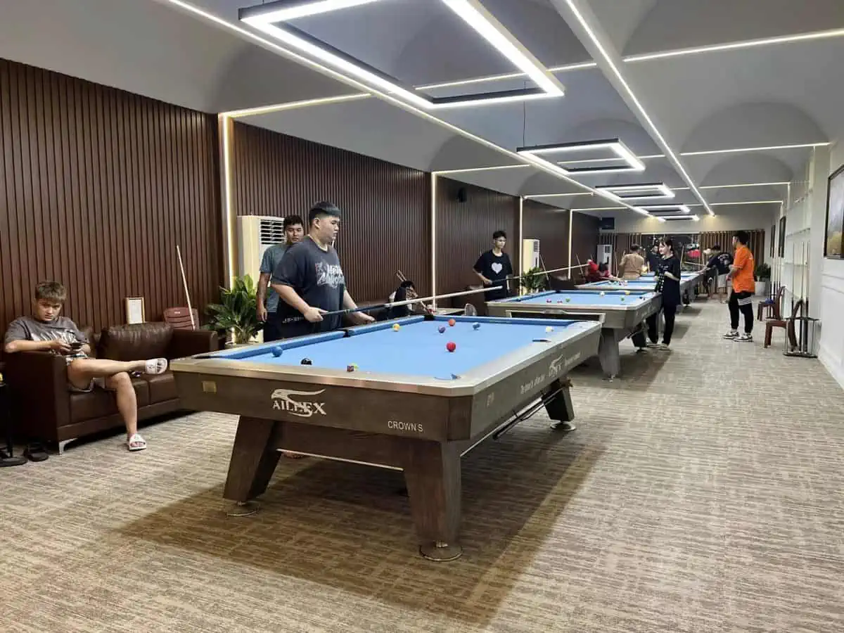 Bàn bi a Aileex Crow S chính hãng Ngọc Mỹ - Ảnh 2