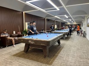 Bàn bi a Aileex Crow S chính hãng Ngọc Mỹ - Ảnh 2