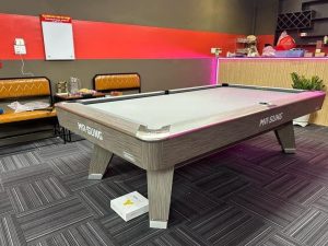 Bàn Bida Mr-Sung Accura Nhập Trung - Ảnh 15
