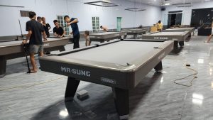 Bàn Bida Mr-Sung Accura Nhập Trung - Ảnh 16