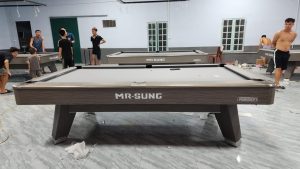 Bàn Bida Mr-Sung Accura Nhập Trung - Ảnh 17