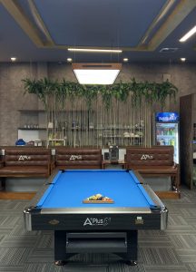 Bàn bida Aplus Athena - Ảnh 12
