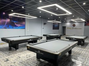 Bàn Bi-a KING ULTRA-X - Image 15