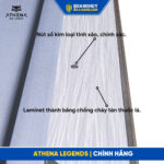 Bàn bida Athena Apollo chính hãng - quanghuybilliards.com