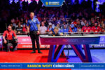 Bàn bida Rasson Wolf chính hãng - Ảnh 27
