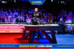 Bàn bida Rasson Wolf chính hãng - Ảnh 26